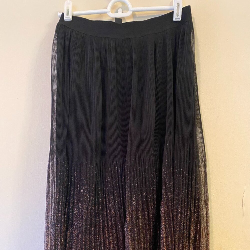 Zoul Edition Pleated Skirt With Gold Shimmer